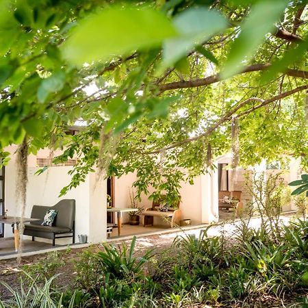 Bed and Breakfast Francines Venue Pty Ltd Hoedspruit Zewnętrze zdjęcie