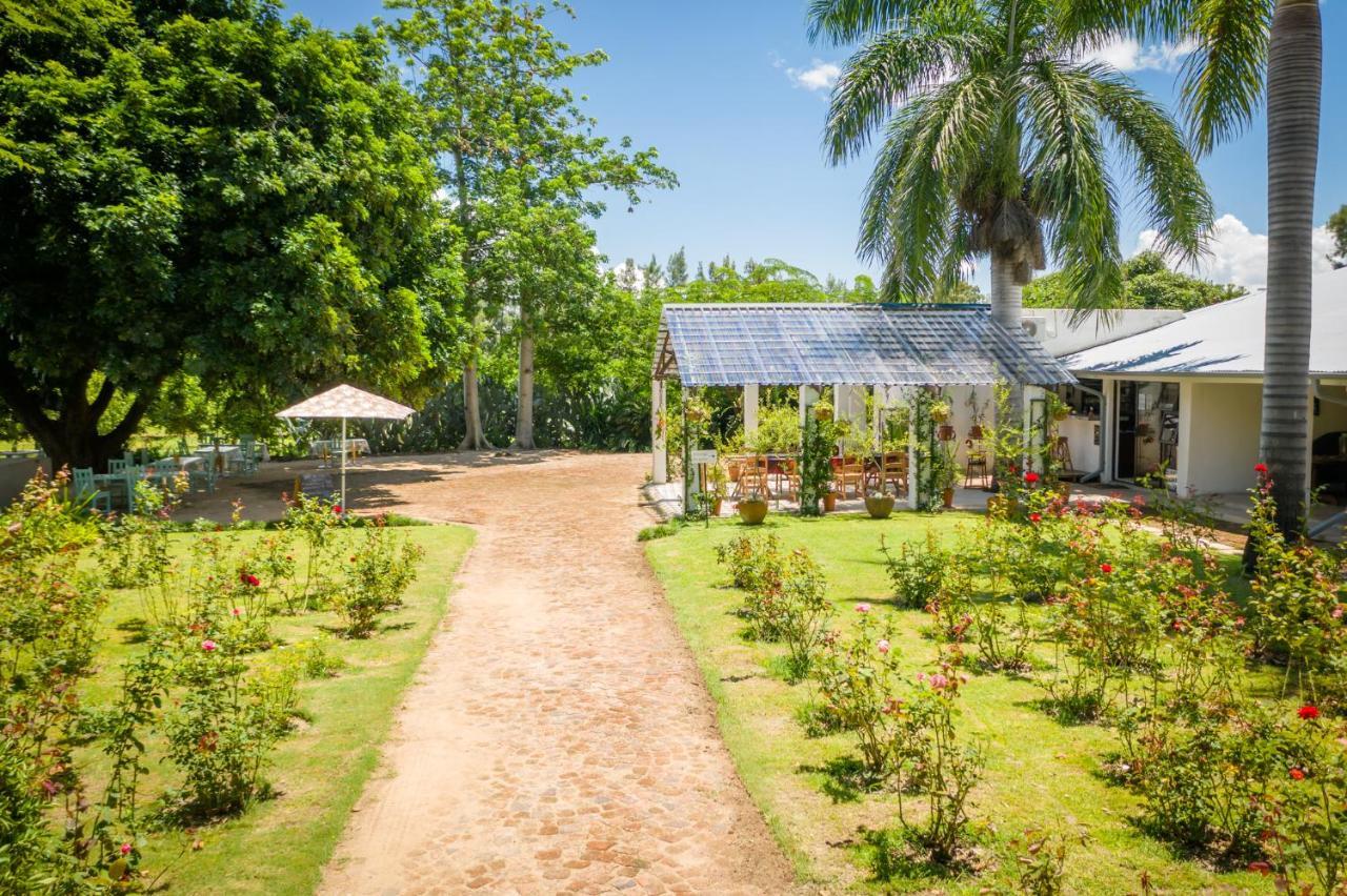 Bed and Breakfast Francines Venue Pty Ltd Hoedspruit Zewnętrze zdjęcie