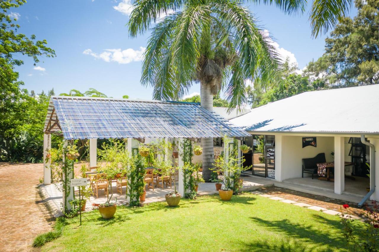 Bed and Breakfast Francines Venue Pty Ltd Hoedspruit Zewnętrze zdjęcie